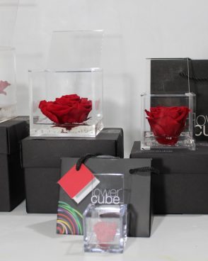 Stabilized Roses