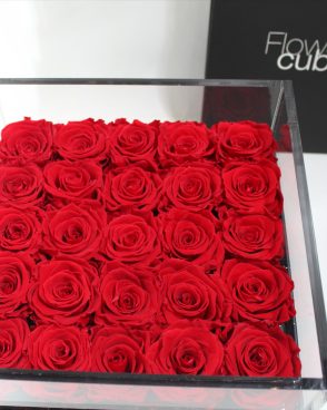 25 Roses stabilized Platinum